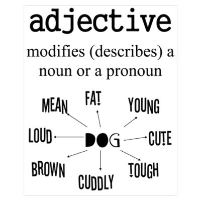 tinh-tu-adjective-trong-tieng-anh tinh-tu-adjective-trong-tieng-anh